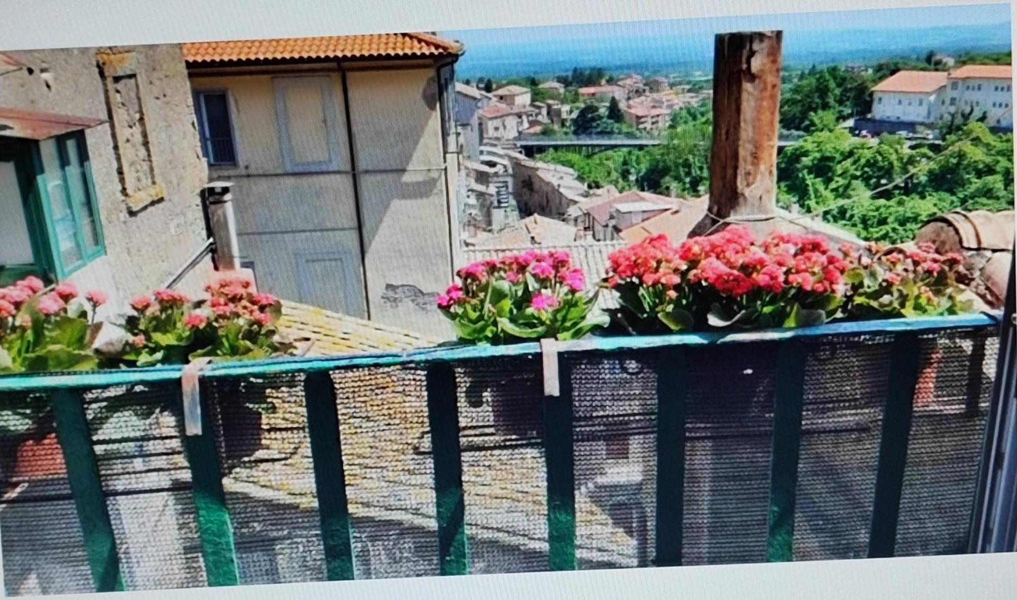 La Casa Del Sole Lägenhet Caprarola Exteriör bild